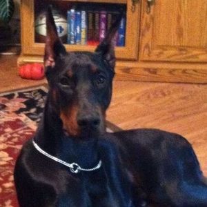 Meet your Posher, Debbie